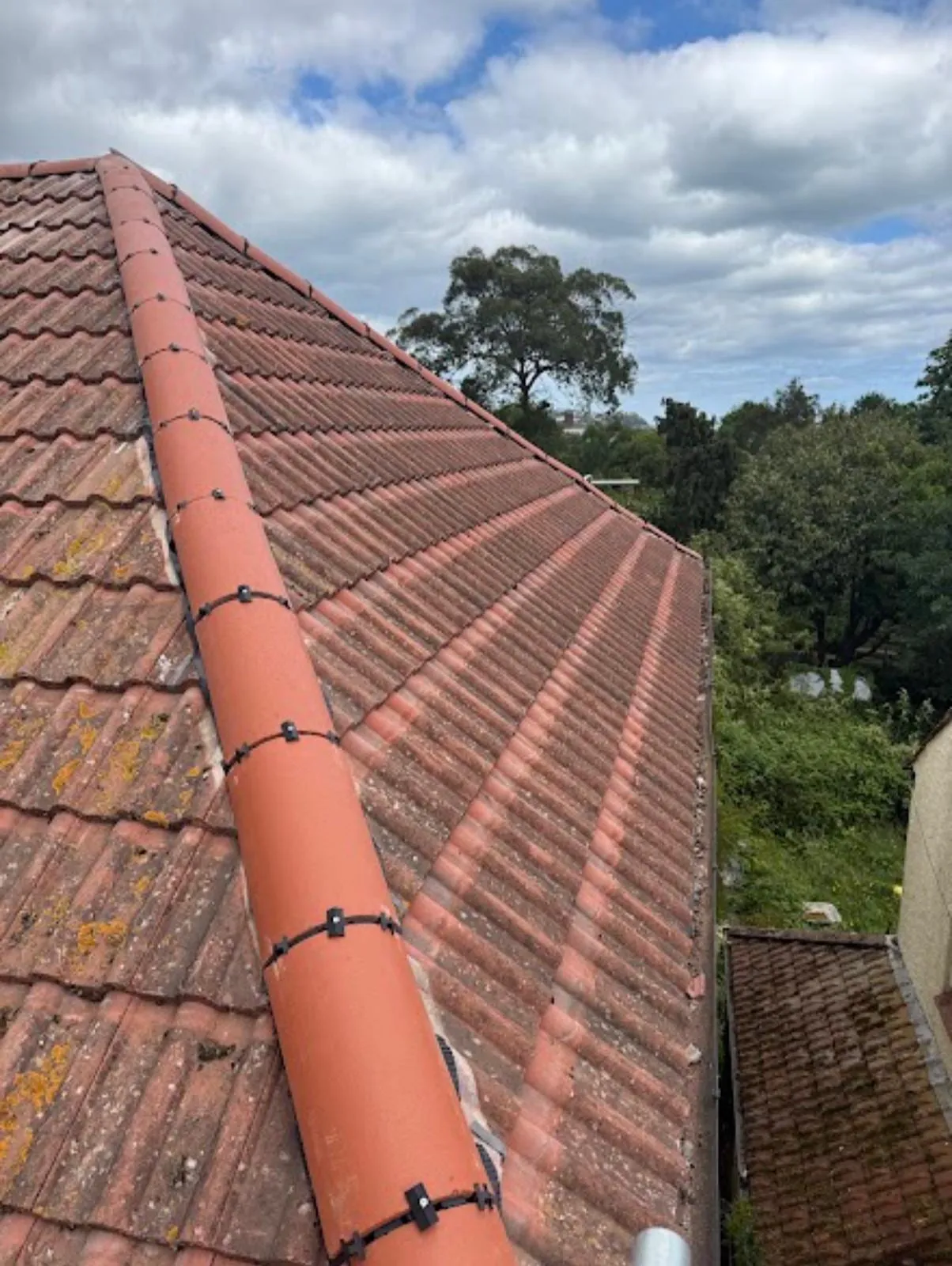 New red ridge tiles along a hip, with trees beyond