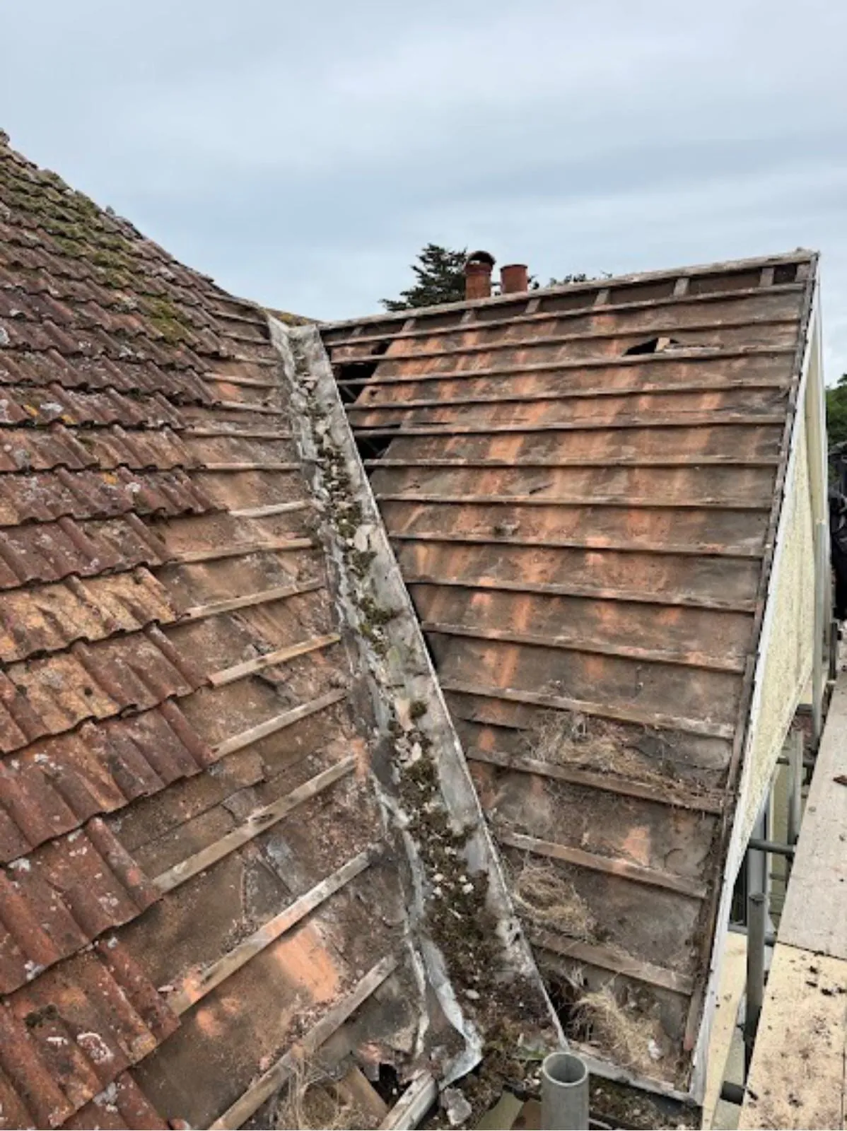 Weathered clay tile roof with a hip and valley before repair