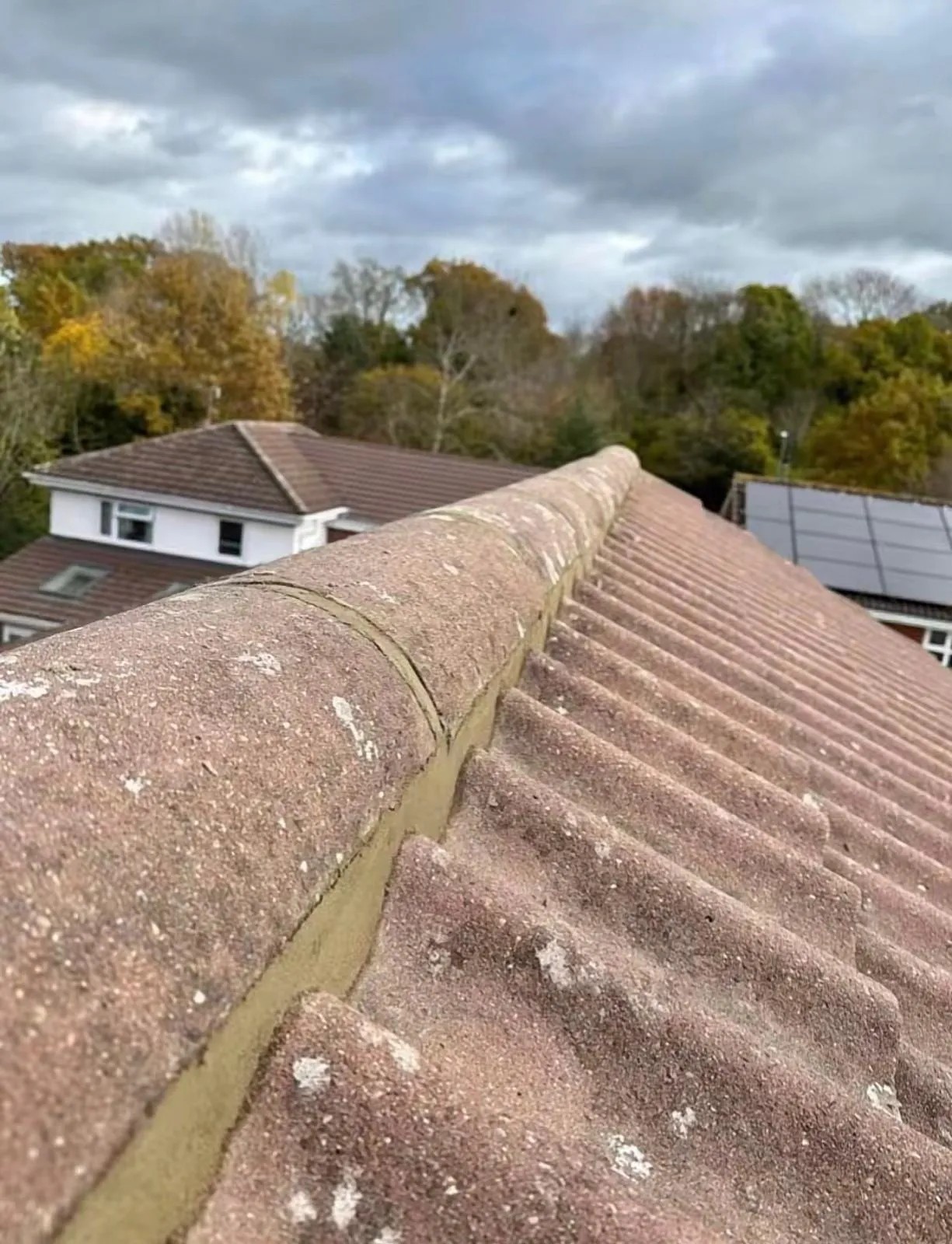 Weathered ridge tiles with moss and worn mortar bedding